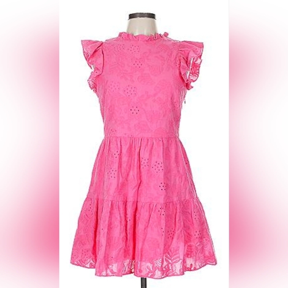 Willa Story Dresses & Skirts - WILLA STORY Pink Eyelet Dress